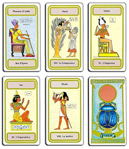 Le Tarot De La Transition - Juego de 78 tarjetas de visión con explicación de 78 hojas (libro en francés)