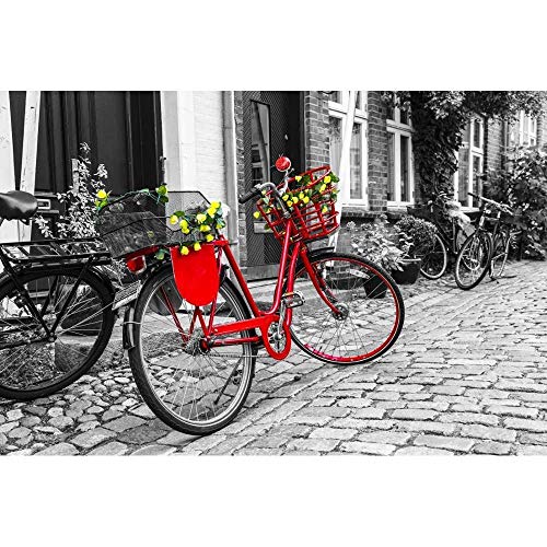 MTAMMD Puzzles Puzzle 500 1000 Piezas Bicicleta Roja Rompecabezas para Adultos Bicicleta Roja Rompecabezas con Flores En La Calle En Blanco Y Negro-1000Pieces