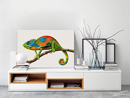 murando Pintura por Números camaleón 60x40 cm Cuadros de Colorear por Números Kit para Pintar en Lienzo con Marco DIY Bricolaje Adultos Niños Decoracion de Pared Regalos n-A-0956-d-a