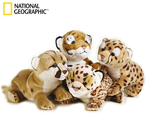 Nacional Geographic 770768, Peluche bebé felino, tigris/leopardo/león/pantera, 4 piezas, modelos aleatorios , color/modelo surtido