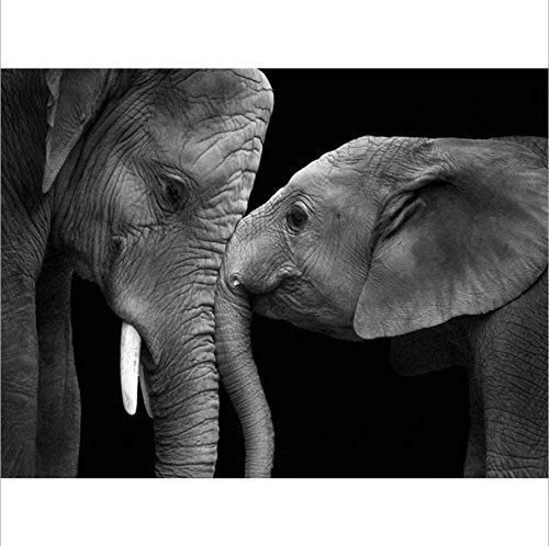 QNJY niños IQ Rompecabezas Rompecabezas 70x50cm 3d DIY Dos elefantes en blanco y negro Adultos Juego Creativo 1000 Piezas decoración del hogar