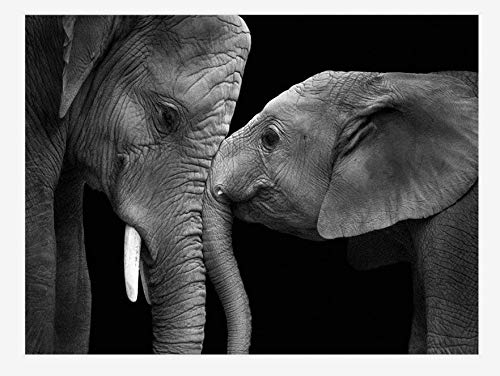 QNJY niños IQ Rompecabezas Rompecabezas 70x50cm 3d DIY Dos elefantes en blanco y negro Adultos Juego Creativo 1000 Piezas decoración del hogar