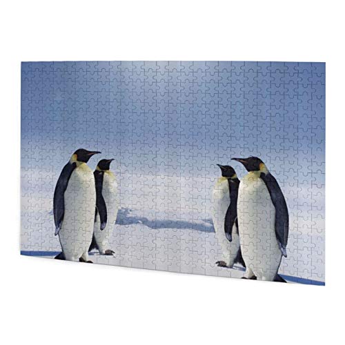 Rompecabezas de 500 Piezas,Dos Pares de pingüinos uno Frente al Otro en el Polo Sur Sunny,Rompecabezas de imágenes para niños, Adolescentes, Adultos,Divertido Juego de Alivio del estrés para Regalo