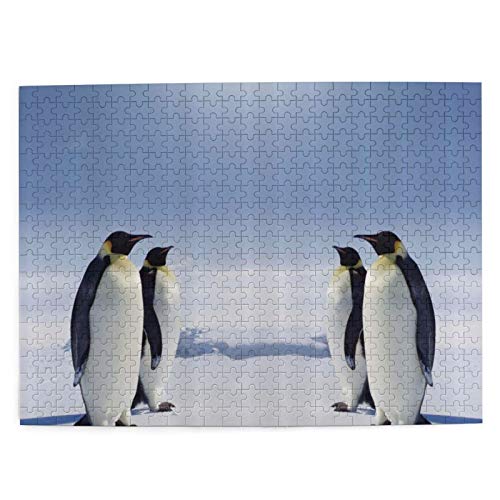 Rompecabezas de 500 Piezas,Dos Pares de pingüinos uno Frente al Otro en el Polo Sur Sunny,Rompecabezas de imágenes para niños, Adolescentes, Adultos,Divertido Juego de Alivio del estrés para Regalo