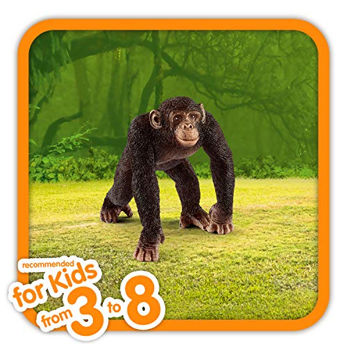 Schleich- Figura chimpancé macho, 5,7 cm
