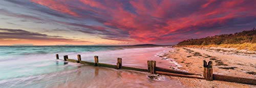 Schmidt Spiele Puzzle Revestimiento P9 K – Mark Gray mccrae Beach, Morning Ton Peninsula, Victoria, Australia, panorámica Puzzle, 1000 Piezas