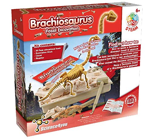 Science4you - Brachiosaurus Fossil Escavation - Juguete Cientifico y Educativo, Incluye Fosiles, Dinosaurios y un Libro Educativo, para Niños +6 Años