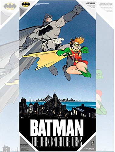 SD toys Caza Tie vs ala X Batman Y Robin Poster De Vidrio The Dark Knight Returns DC 30x60 Cm, Multicolor, 3x61x31 cm