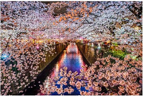 Temporada de flores de cerezo en Tokio Japón Rompecabezas de madera Rompecabezas educativos Regalo Rompecabezas creativos 75 * 50 cm 1000 Uds
