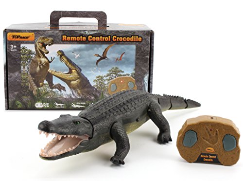 Top Race Remote Control Crocodile, Prank Crocodile RC Animal Toy, Parece Real Se Siente Real Rugidos y se Mueve como un Verdadero cocodrilo (TR-Croc)