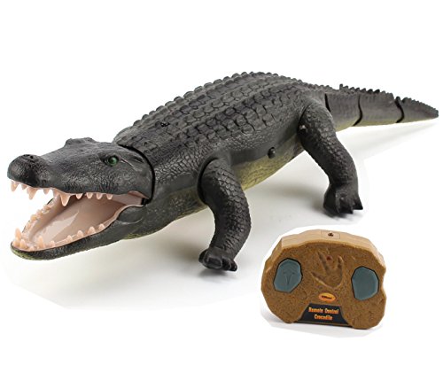 Top Race Remote Control Crocodile, Prank Crocodile RC Animal Toy, Parece Real Se Siente Real Rugidos y se Mueve como un Verdadero cocodrilo (TR-Croc)