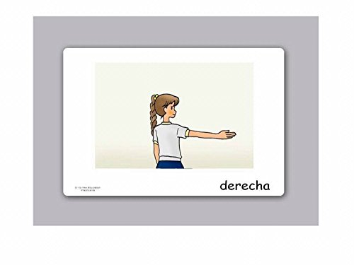 Yo-Yee Flashcards Tarjetas con Ilustraciones en español - Adjetivo 1 - para Clases de Idiomas y fomento del Aprendizaje del Idioma en guarderías, escuelas Infantiles y colegios
