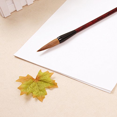 YUZI 30 piezas de papel de arroz chino crudo Xuan para pintar caligrafía de 49 x 34 cm / 35 x 26 cm