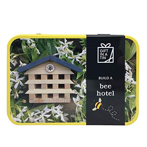 Apples to Pears Construye Un Abeja Hotel