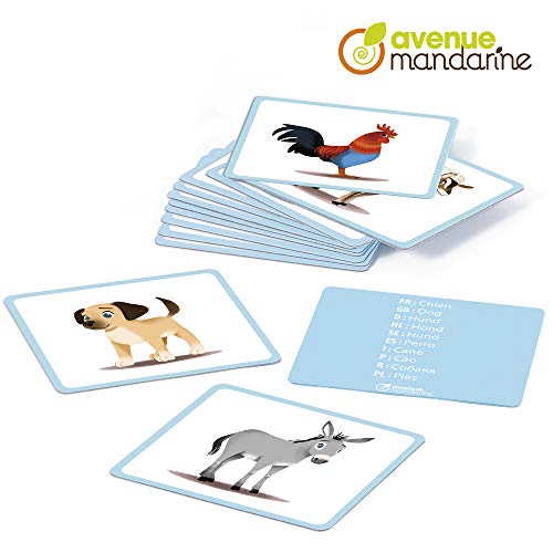 Avenue Mandarine JE513C - Caja de imágenes con 24 Tarjetas multilingües (traducción a 10 Idiomas) 11,5 x 12,7 cm, Animales Familiares