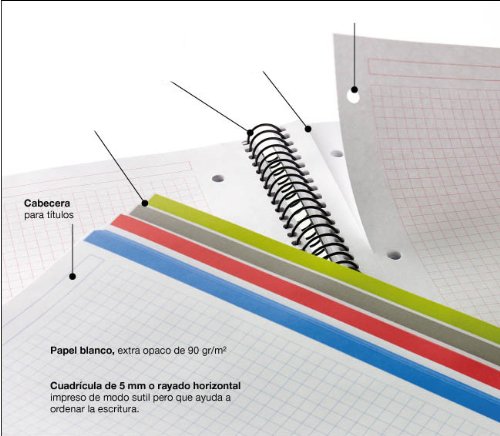 Basicos MR 42005, Cuaderno A5 (8 Colores, 200 Hojas, 5 mm, Tapa de Polipropileno), Azul