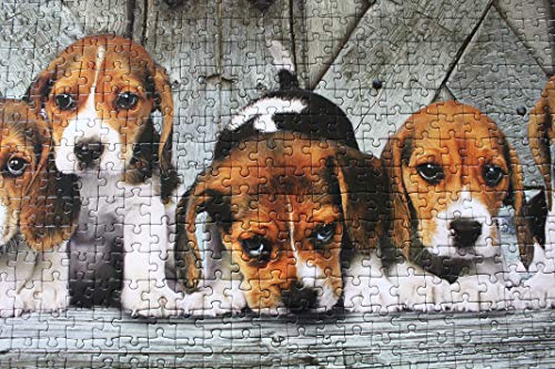 Clementoni Collection Puzzle 1000 Piezas Panorama Beagles (39435.7)