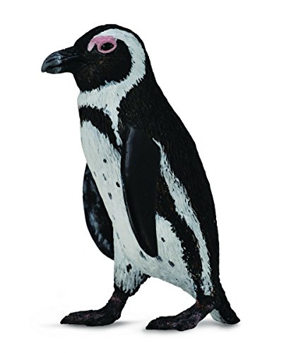 Collecta 88710 - Pingüino de El Cabo
