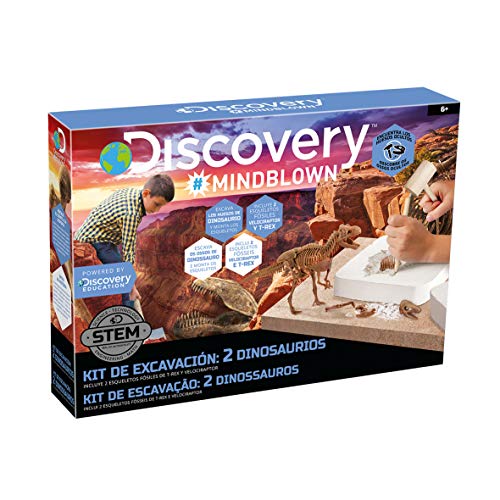 Discovery- Kit Juguete, Juego arqueología, arqueojugando, excavaciones fosiles, Esqueletos, desenterrar Dinosaurios (6000445)