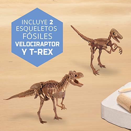 Discovery- Kit Juguete, Juego arqueología, arqueojugando, excavaciones fosiles, Esqueletos, desenterrar Dinosaurios (6000445)