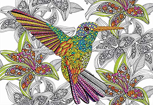 Educa- Hummingbird Puzzle para Colorear, 300 Piezas, Multicolor (17083)