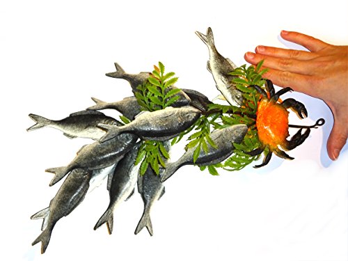 Ensemble Sardines avec Cancer en plastique – décoration factice, imitation alimentaire, faux Food,, d'factice, Idée Déco maritime