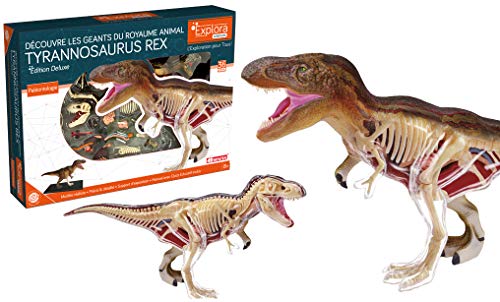 EXPLORA CIENCES- EXPLORA-Anatomía del Tirannosaure-Paleontología 546092, Modelo Realista de 36 Piezas -27 cm-T-Rex + Elementos Desmontables + Soporte Kit de Descubrimiento a Partir de 8 años, 546092