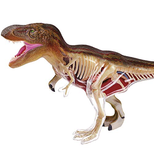 EXPLORA CIENCES- EXPLORA-Anatomía del Tirannosaure-Paleontología 546092, Modelo Realista de 36 Piezas -27 cm-T-Rex + Elementos Desmontables + Soporte Kit de Descubrimiento a Partir de 8 años, 546092