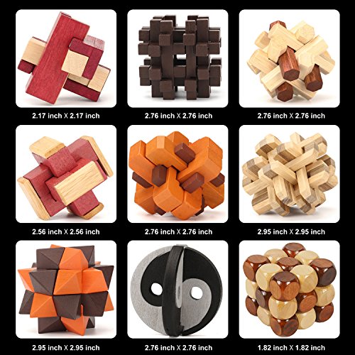 Gracelaza 18 Piezas Juguetes Rompecabezas de Madera Caja Set - IQ Juguete Educativo - 3D Brain Teaser Puzzle de Madera - Juego Niños y Adolescentes