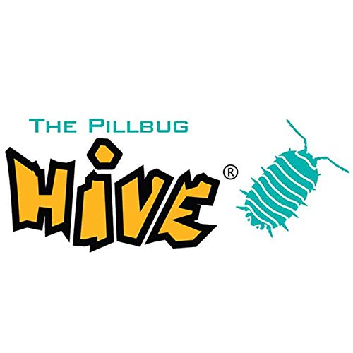 Huch! & friends- Hive Pocket (Hutter Trade Selection 019233) + Branpresto - Hive Pocket - Extension Cloporte / Pillbug - Multi Langue (Playstation 4)