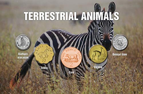 IMPACTO COLECCIONABLES Monedas del Mundo - Colección de 5 Monedas de Animales Terrestres