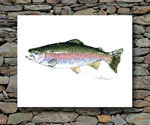 Impresión artística de acuarela "Rainbow Trout" firmada por el artista Dj Rogers