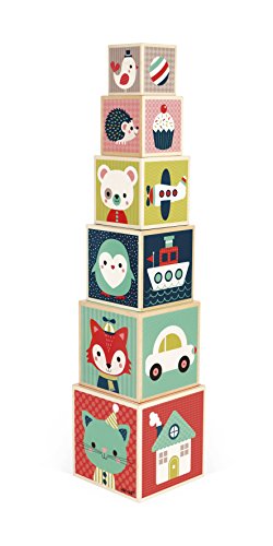 Janod- Pirámide de 6 Cubos Baby Forest (J08016)