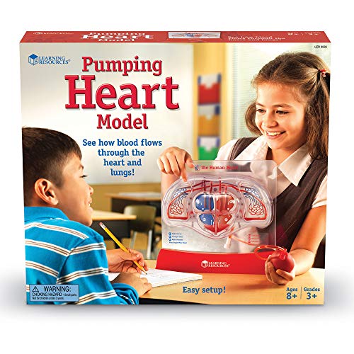 Learning Resources- Modelo del corazón bombeante, Color (LER3535)