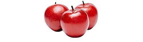 Lot de 3 – attrappen Pomme – Fruits Rouges factice comme requsite, pommes en plastique alimentaire, poupées en bois de décoration, été, fruits Copie de ernäh Run Conseils, objet déco hohlattr appe