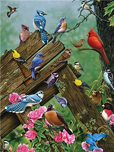 Lvcuyy Pintura por números para adultos y niños Kits de regalo de pintura al óleo de bricolaje Arte de lienzo preimpreso Decoración del hogar - Pájaros 16 * 20 pulgadas Sin marco-T3