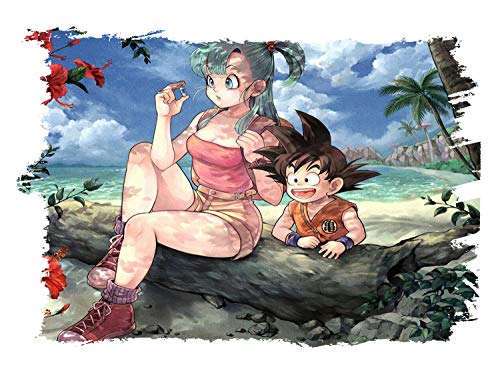 MERCHANDMANIA Pack 2 Fundas Bolsa Multiusos Bulma Y Goku Dragon Ball Serie Gafas Dados rol Personalizada Color