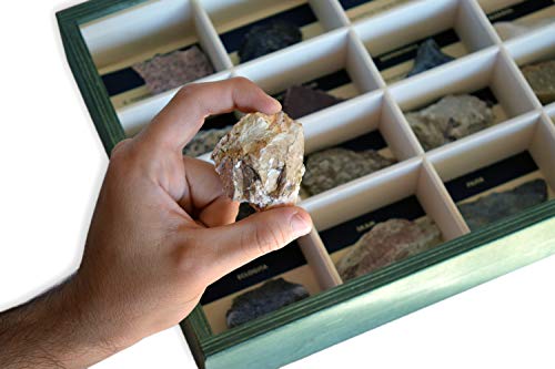MINERALES Y FOSILES NANO Colección de 16 Rocas Metamórficas Premium en Caja de Madera Natural - Rocas Educativas de Gran tamaño con Hoja de descripción. Kit Geología para niños