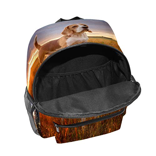 Mochila infantil para niños de 1 a 6 años de edad, mochila perfecta para niños y niñas al aire libre Beagle perro esperando puesta de sol