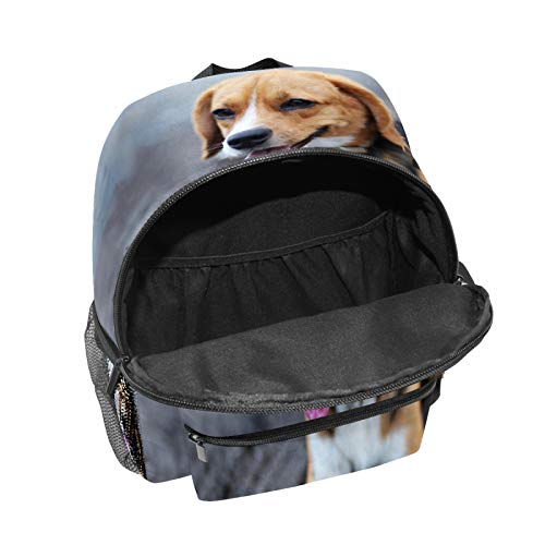 Mochila infantil para niños de 1 a 6 años de edad, mochila perfecta para niños y niñas en el jardín de infancia, Beagle perro se sienta en la carretera, bonita