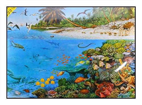 N / A James Hamilton 1000 T - Puzzle (60 x 43 cm), diseño de laguna en la playa, tortuga, pez, tiburón, serpiente, pájaro, delfín, coral, lago, lagoon, 1054