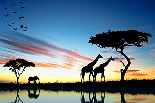 N\A Pintura por Numeros Adultos Niños Pintura Al Óleo Africa Wildlife, Sudáfrica Vista De La Naturaleza DIY Cuadro Lienzo Manualidades para Pintar 40X50Cm