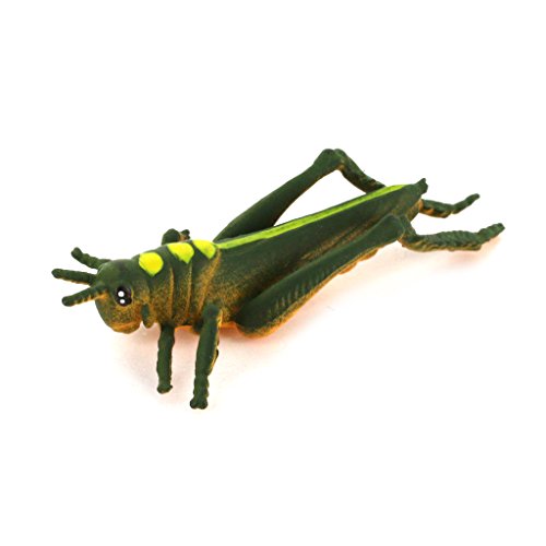 #N/A/a Figuras de Colección de Modelos de Animales de Insectos de Plástico Duro Realistas, Juego de 12