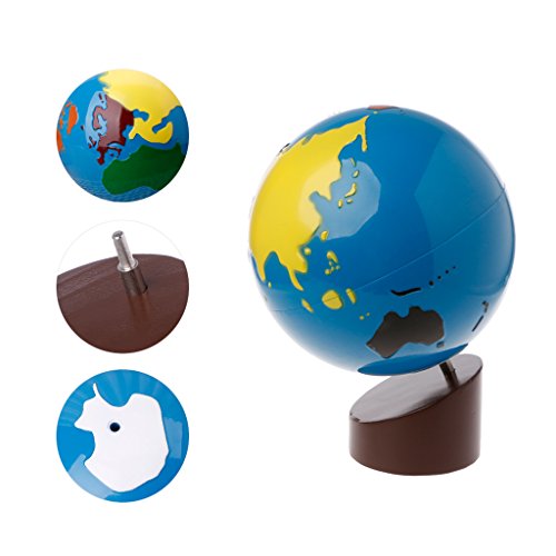 Noband JSFGFSDH Montessori Geography Material Globe of World Parts Kids Early Learning Toy