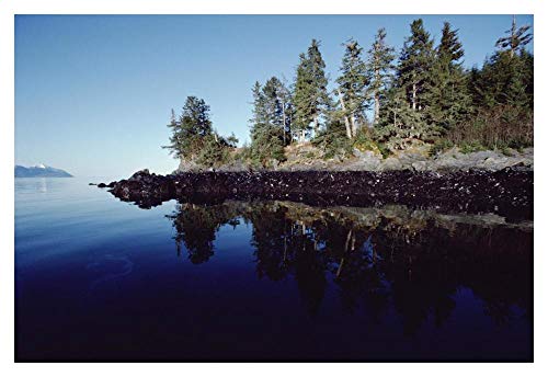 Obras de Arte Italia Marea alta muestra aceite derramado por Exxon Valdez, Prince William Sound, Alaska-Paper Art-20"x34"