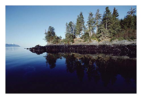 Obras de Arte Italia Marea alta muestra aceite derramado por Exxon Valdez, Prince William Sound, Alaska-Paper Art-26"x18"