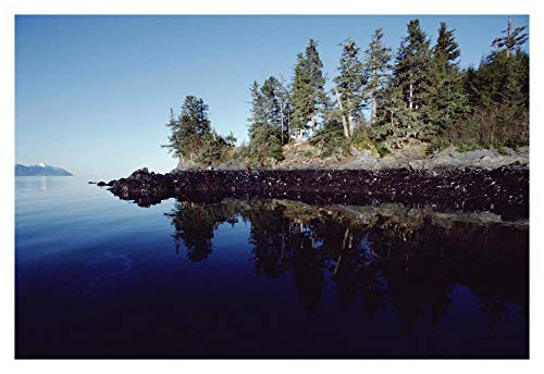 Obras de Arte Italia Marea alta muestra aceite derramado por Exxon Valdez, Prince William Sound, Alaska-Paper Art-38"x26"