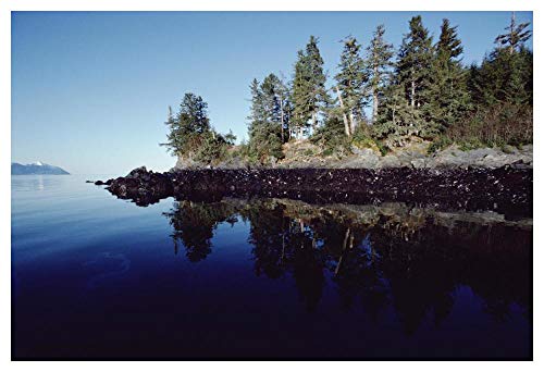Obras de Arte Italia Marea alta muestra aceite derramado por Exxon Valdez, Prince William Sound, Alaska-Paper Art-50"x34"