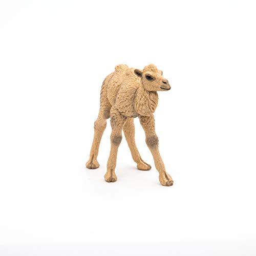 Papo 50221 Figura de Becerro de Camello Salvaje de Animales del Reino Salvaje, Multicolor