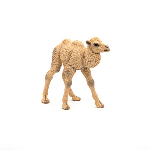 Papo 50221 Figura de Becerro de Camello Salvaje de Animales del Reino Salvaje, Multicolor